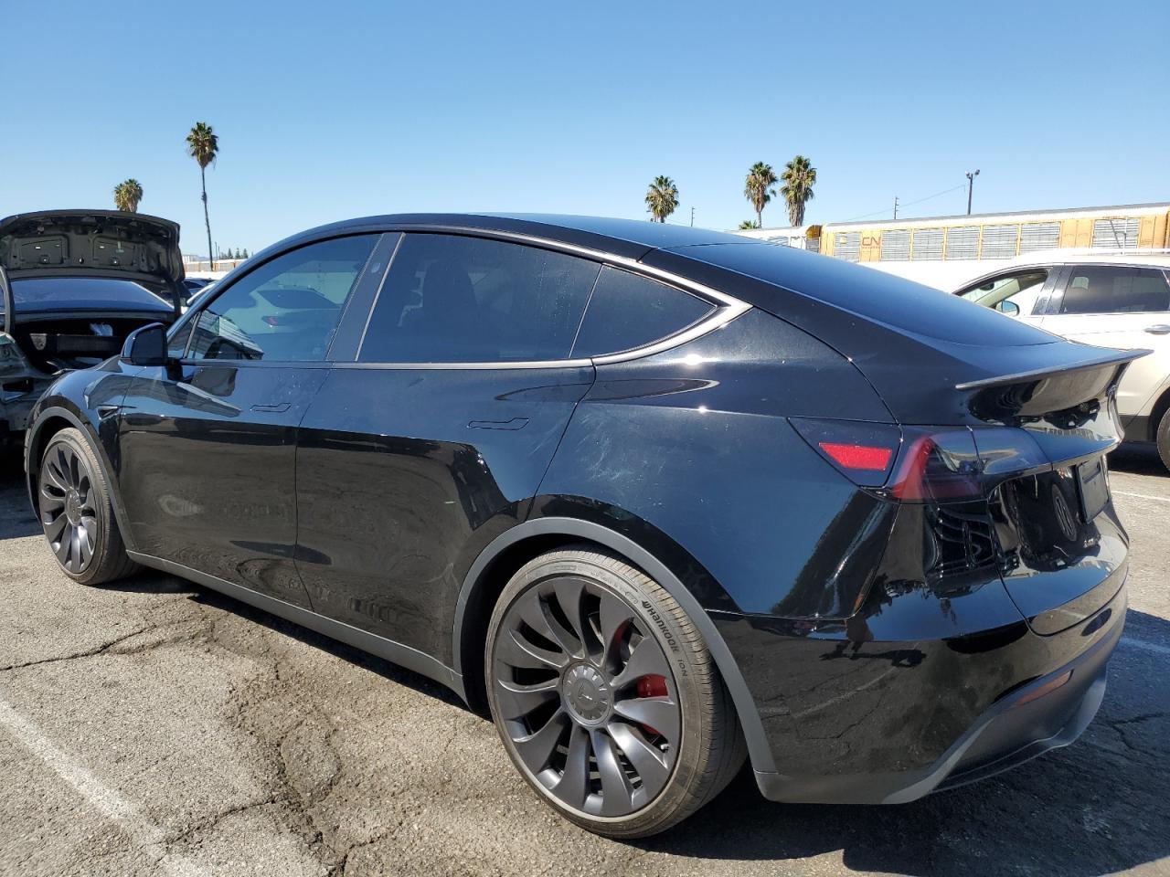 2024 Tesla Model Y - Фото 2
