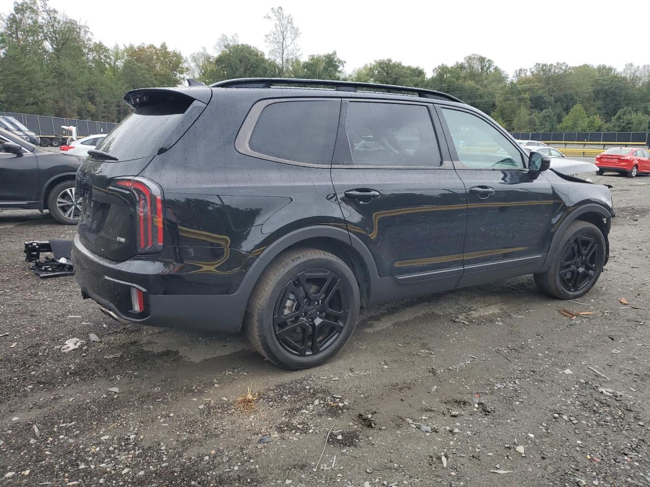 2025 Kia Telluride Sx - Image 3
