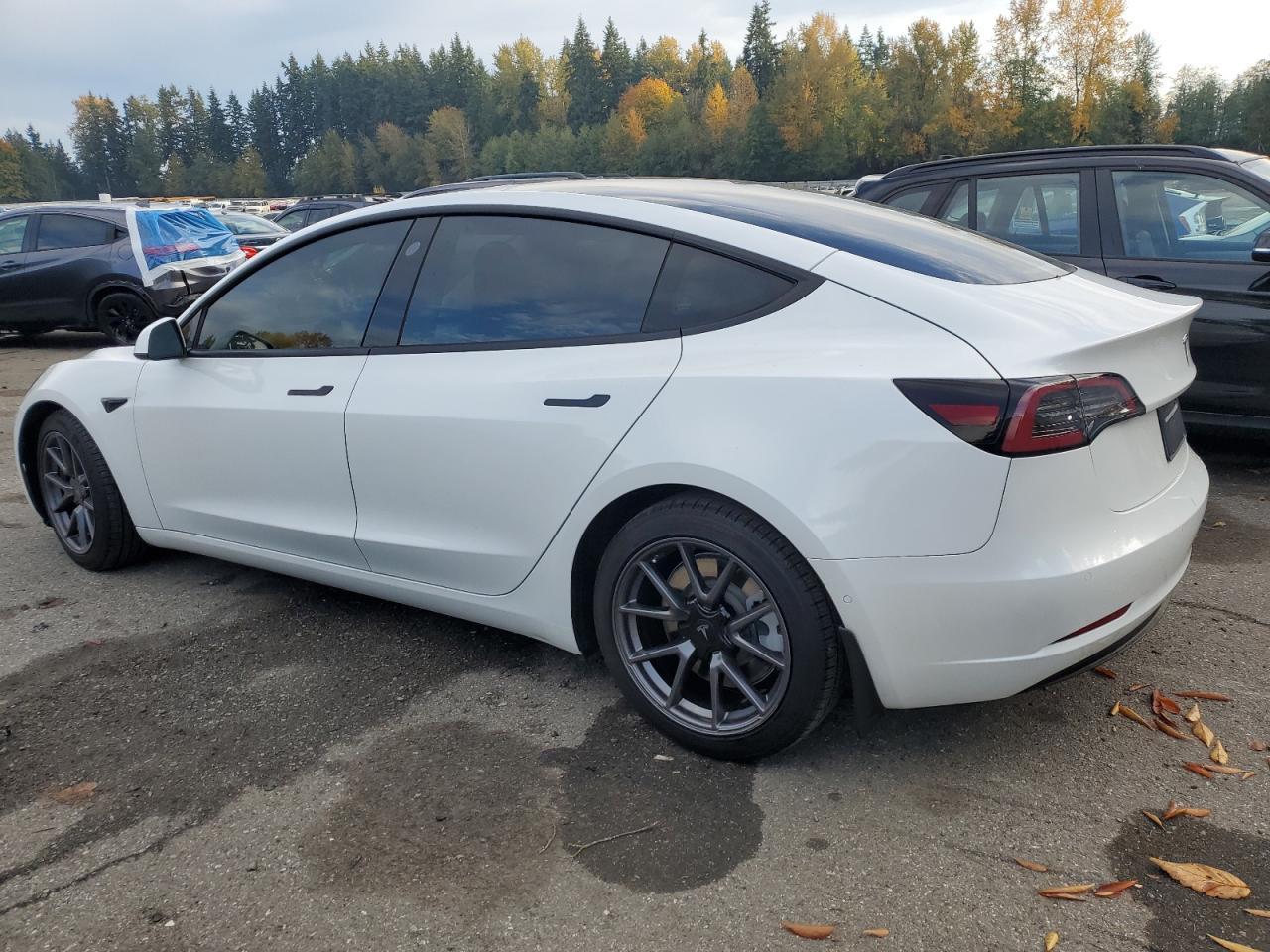 2021 Tesla Model 3 - Фото 2