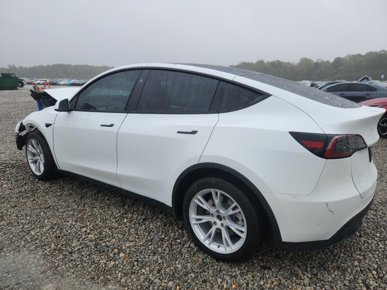 2023 Tesla Model Y - Фото 2