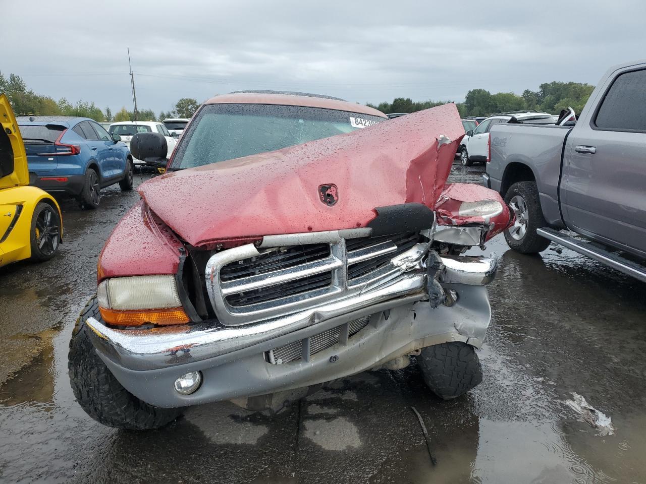 1999 Dodge Dakota - Фото 5