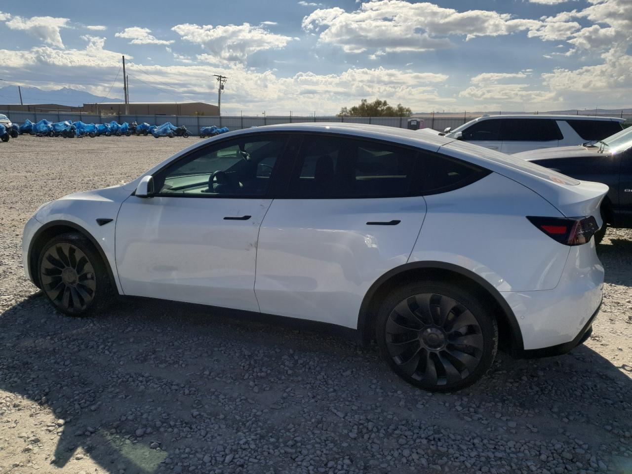 2021 Tesla Model Y - Фото 2