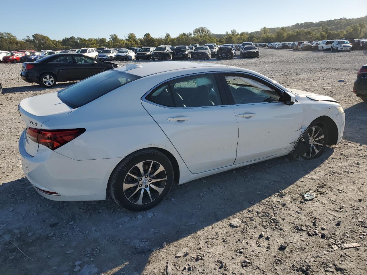2015 Acura Tlx - Image 3