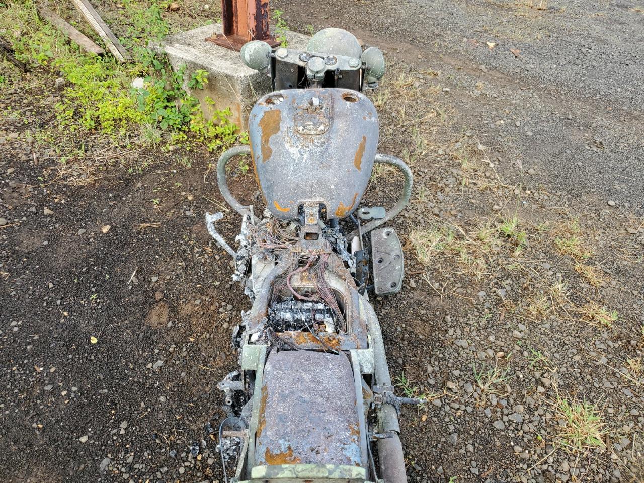 2004 Harley-Davidson Flstci - Фото 6