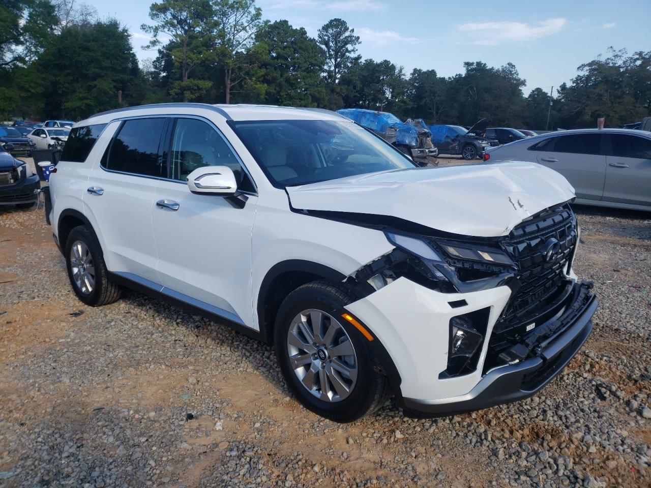 2025 Hyundai Palisade Sel - Фото 4