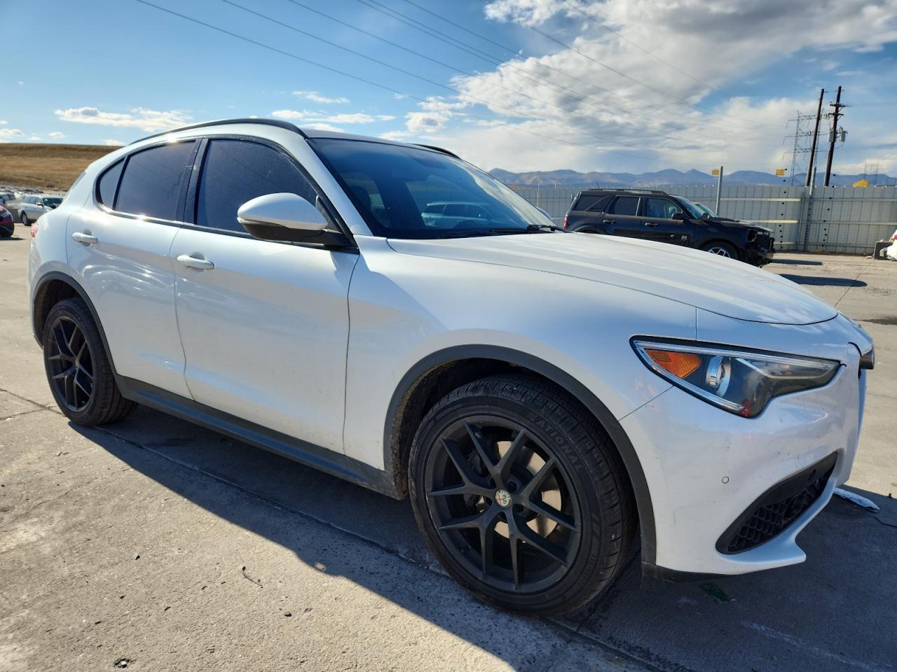 2018 Alfa Romeo Stelvio Ti Sport - Фото 4