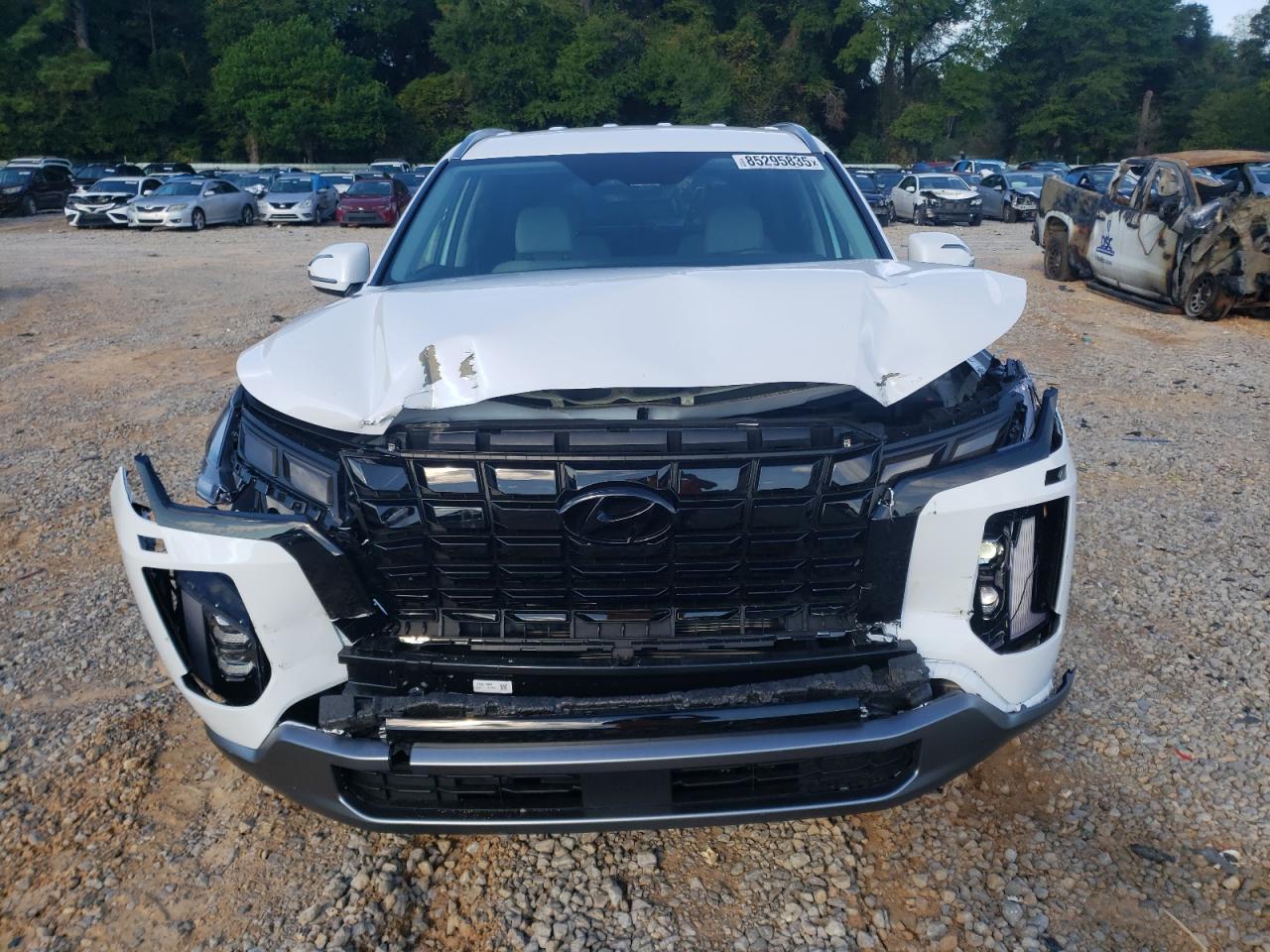 2025 Hyundai Palisade Sel - Фото 5