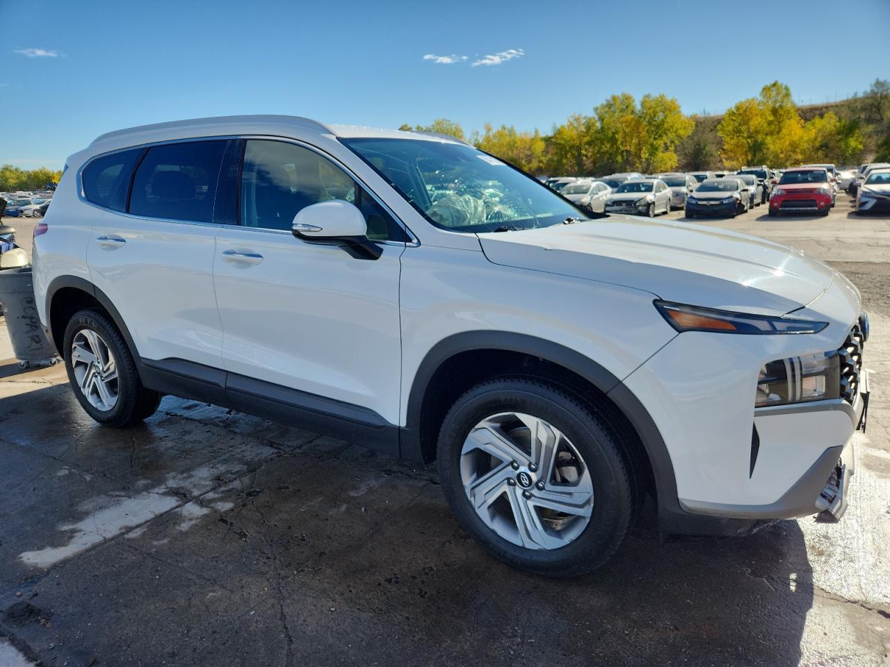 2023 Hyundai Santa Fe Sel - Фото 4