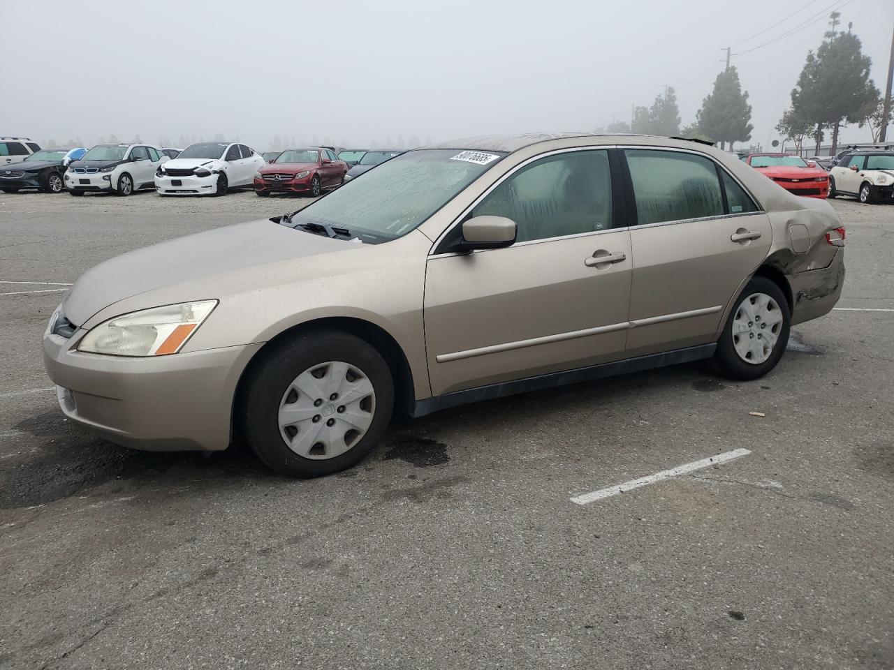 2003 Honda Accord Lx