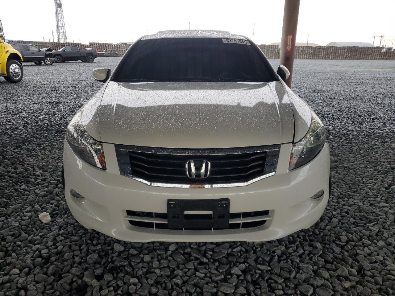 2010 Honda Accord Exl - Image 5