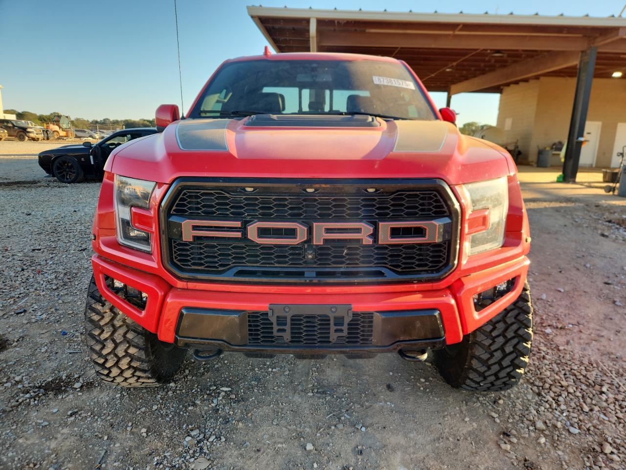 2020 Ford F150 Raptor - Фото 5