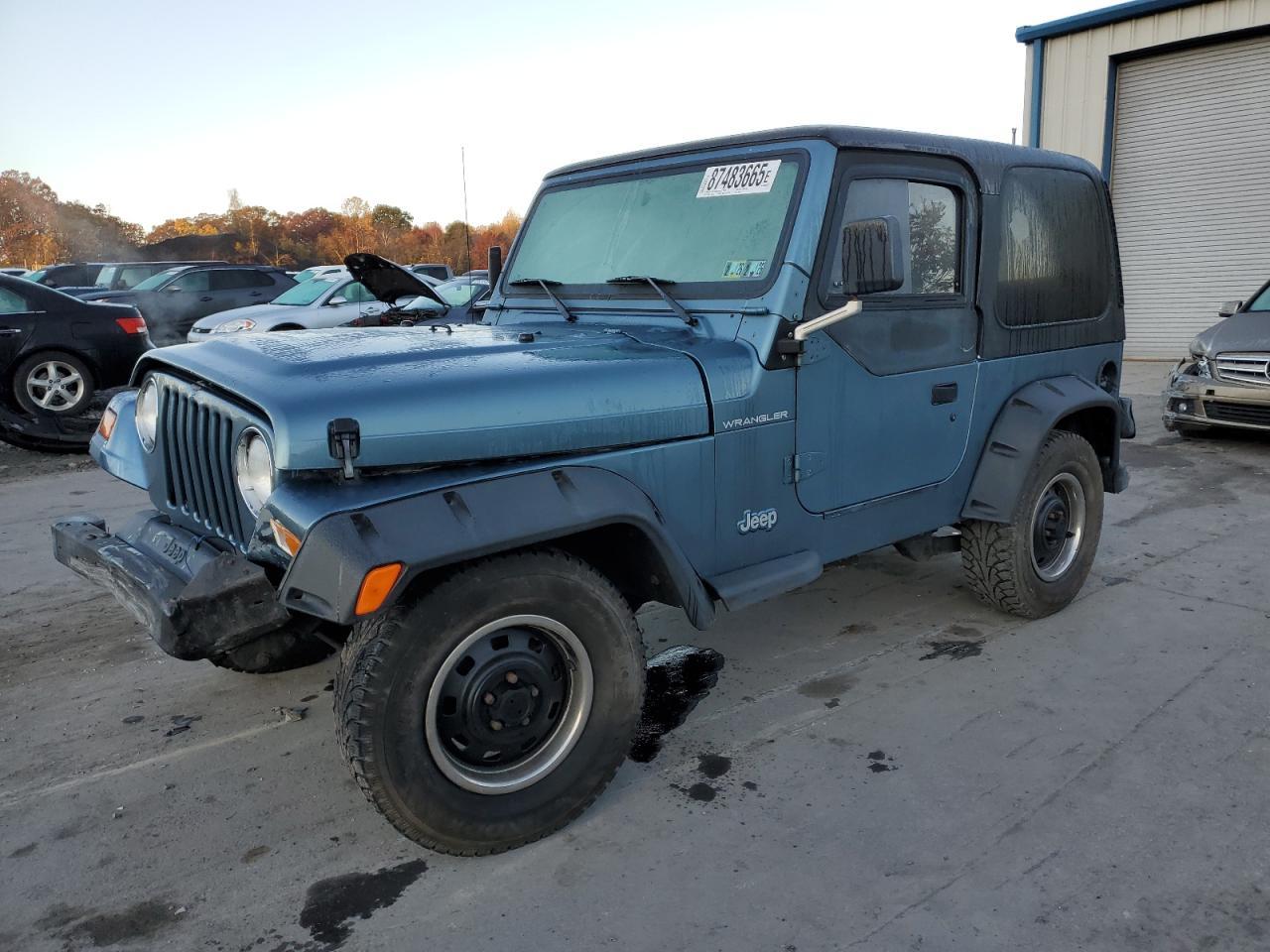 1999 Jeep Wrangler / Tj Se