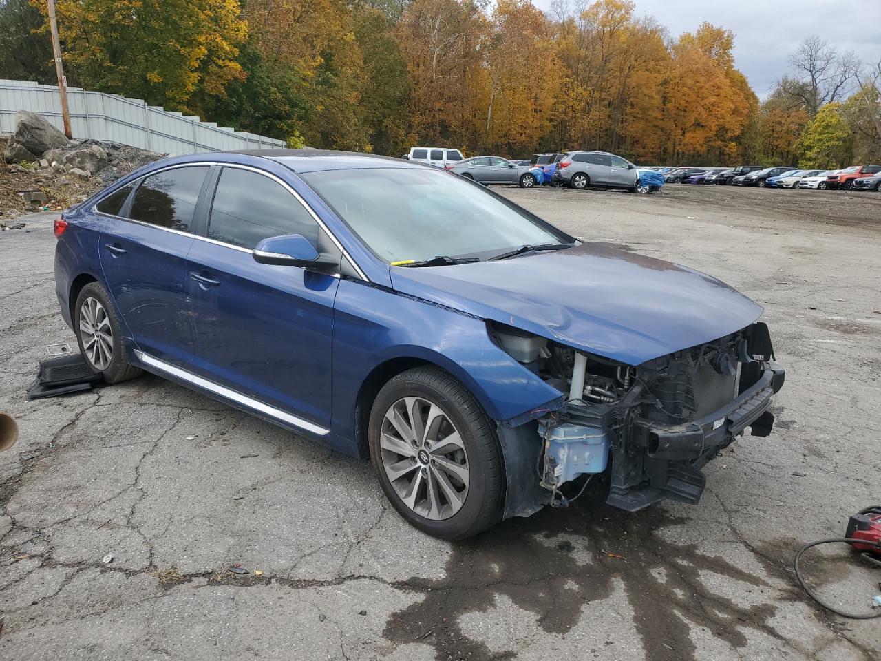 2014 Hyundai Sonata Sport - Фото 4