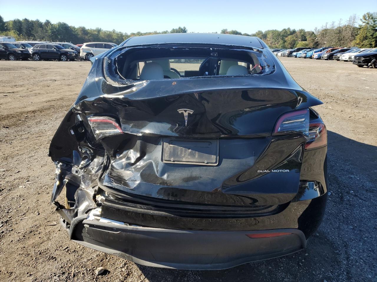 2024 Tesla Model Y - Фото 6