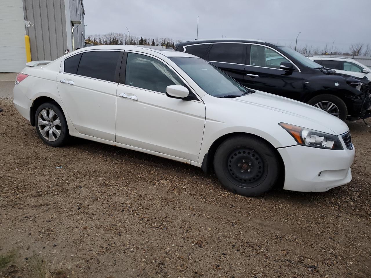 2008 Honda Accord Exl - Фото 4