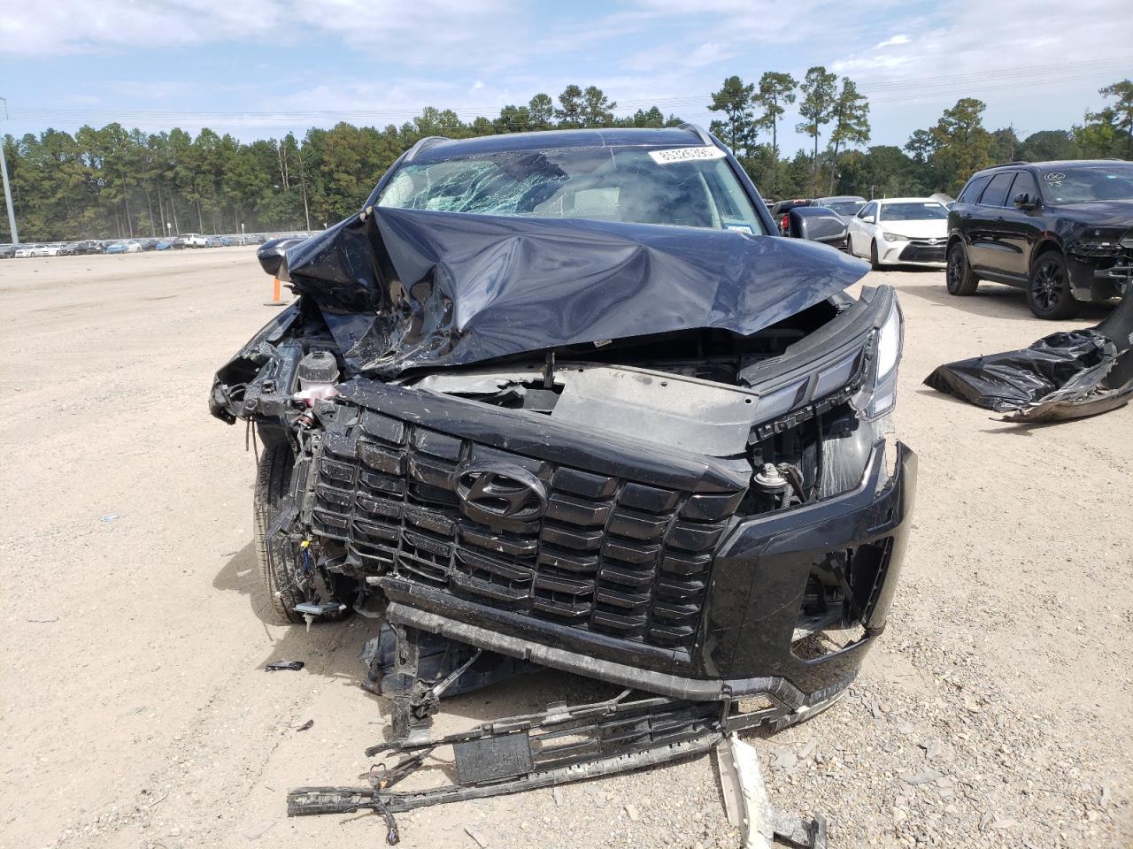 2024 Hyundai Palisade Sel Premium - Фото 5