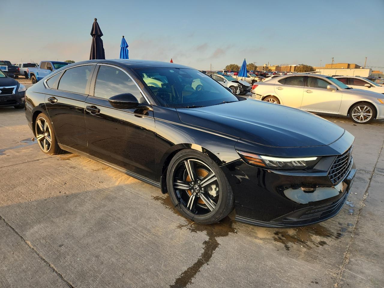 2024 Honda Accord Hybrid Sport - Фото 4