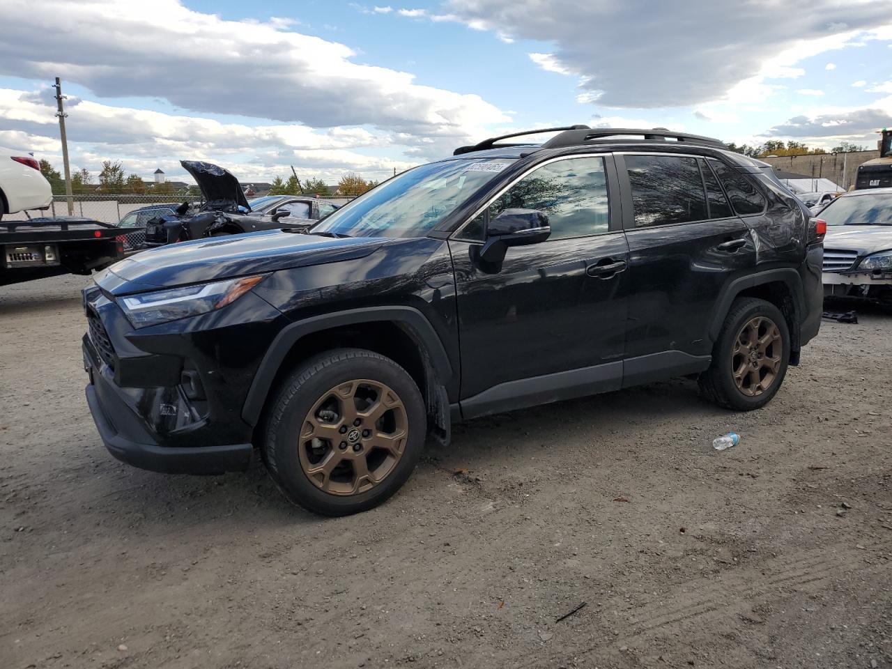 2024 Toyota Rav4 Woodland Edition