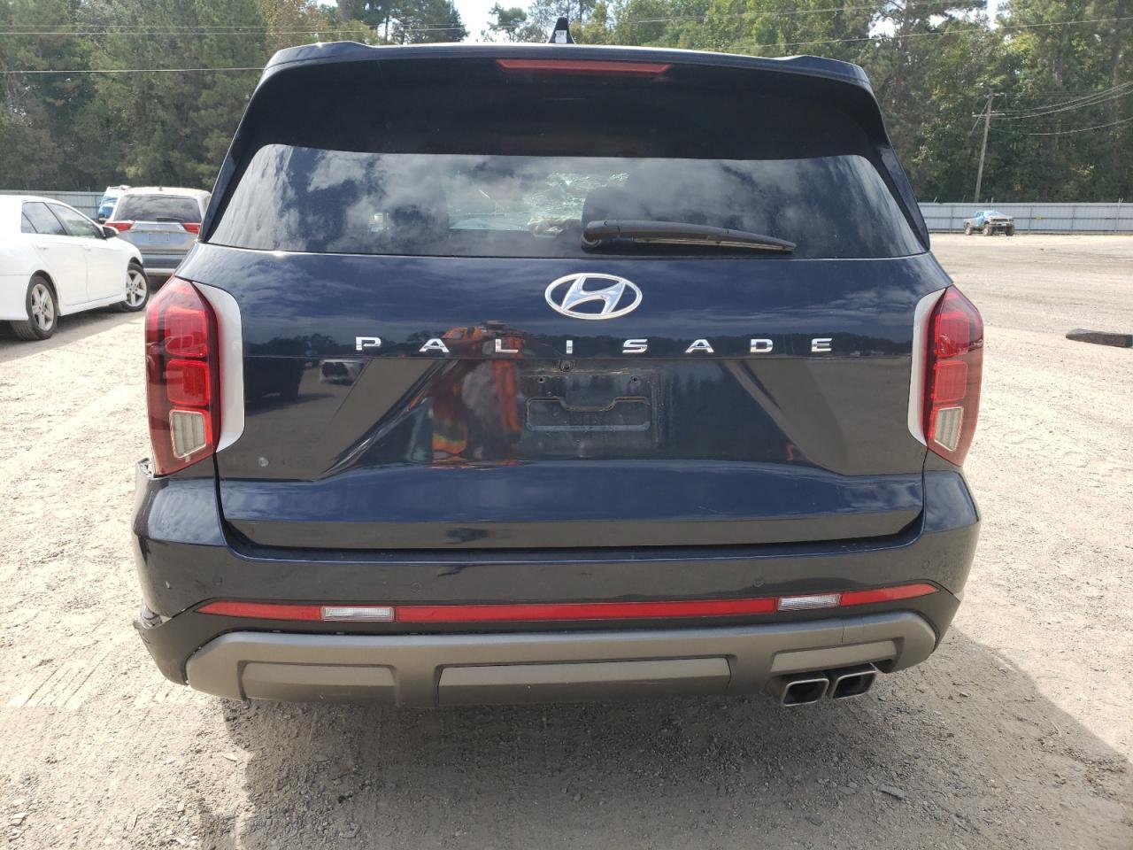 2024 Hyundai Palisade Sel Premium - Image 6
