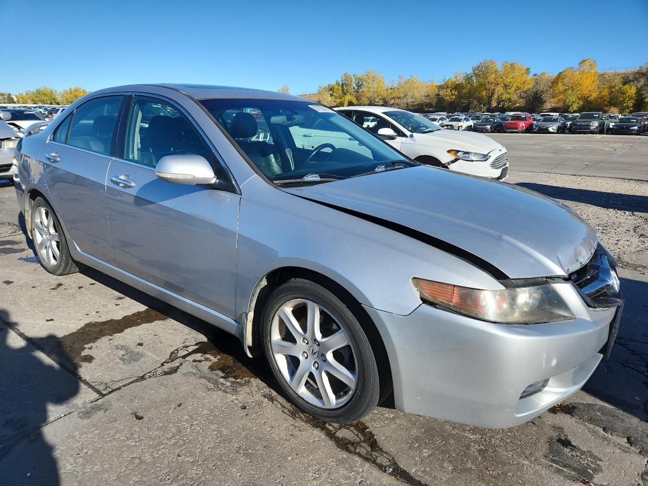 2005 Acura Tsx - Фото 4