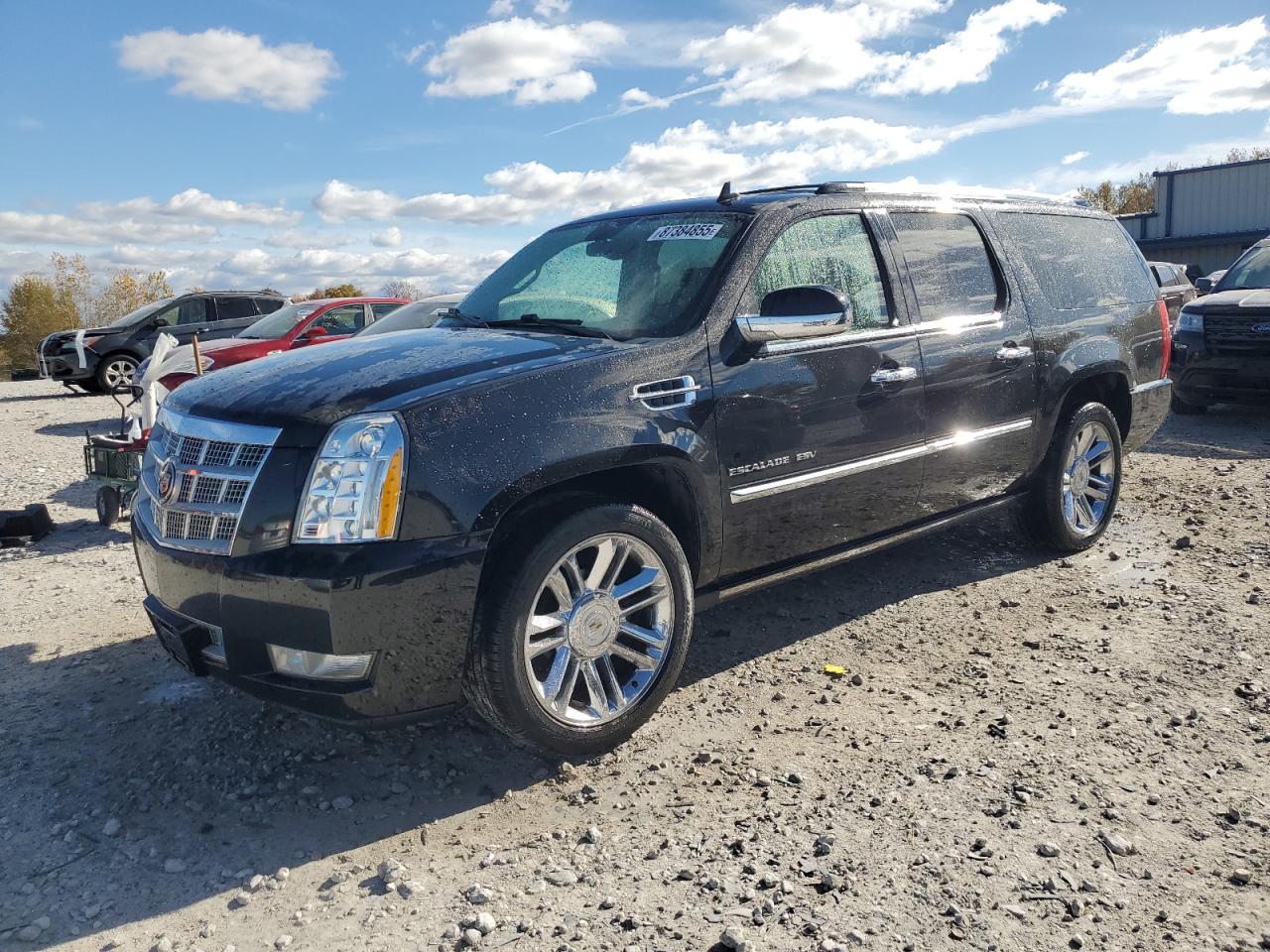 2011 Cadillac Escalade Esv Platinum