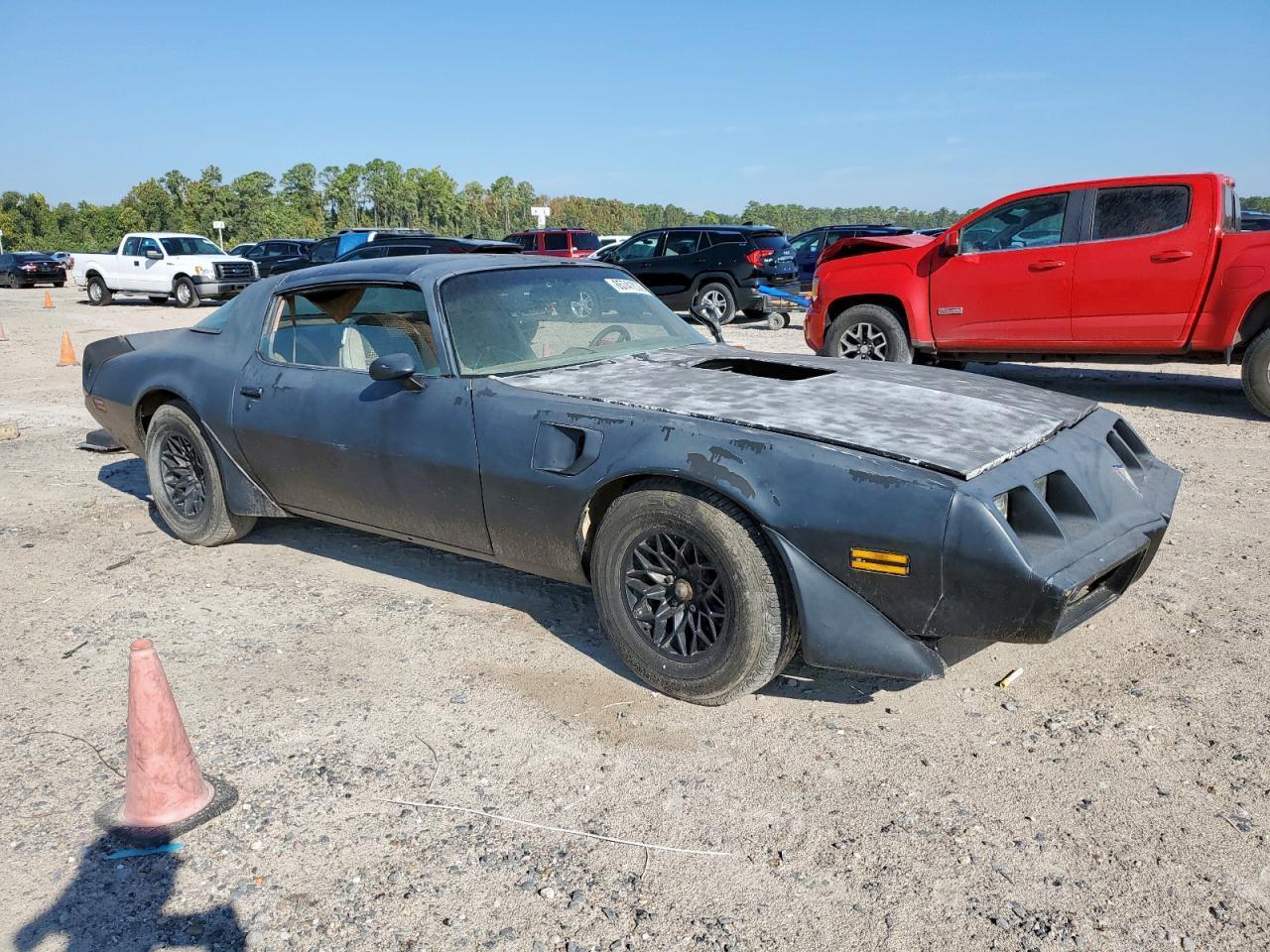 1980 Pontiac Trans Am - Фото 4