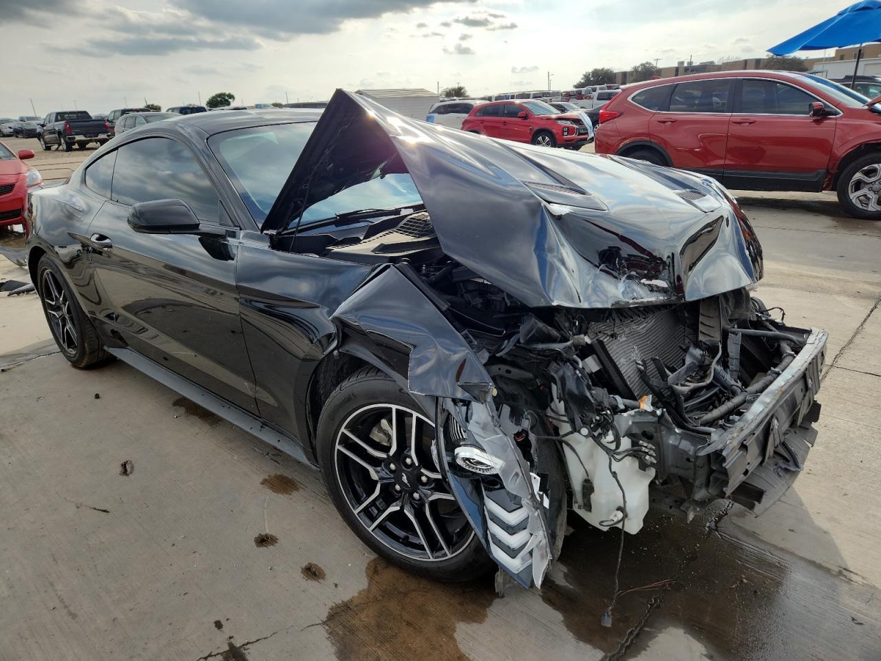 2023 Ford Mustang - Фото 4