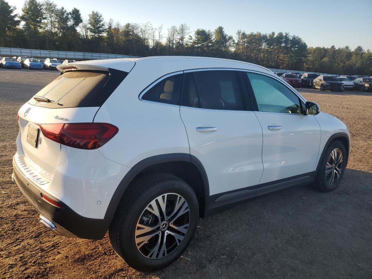 2025 Mercedes-Benz Gla 250 4Matic - Фото 3