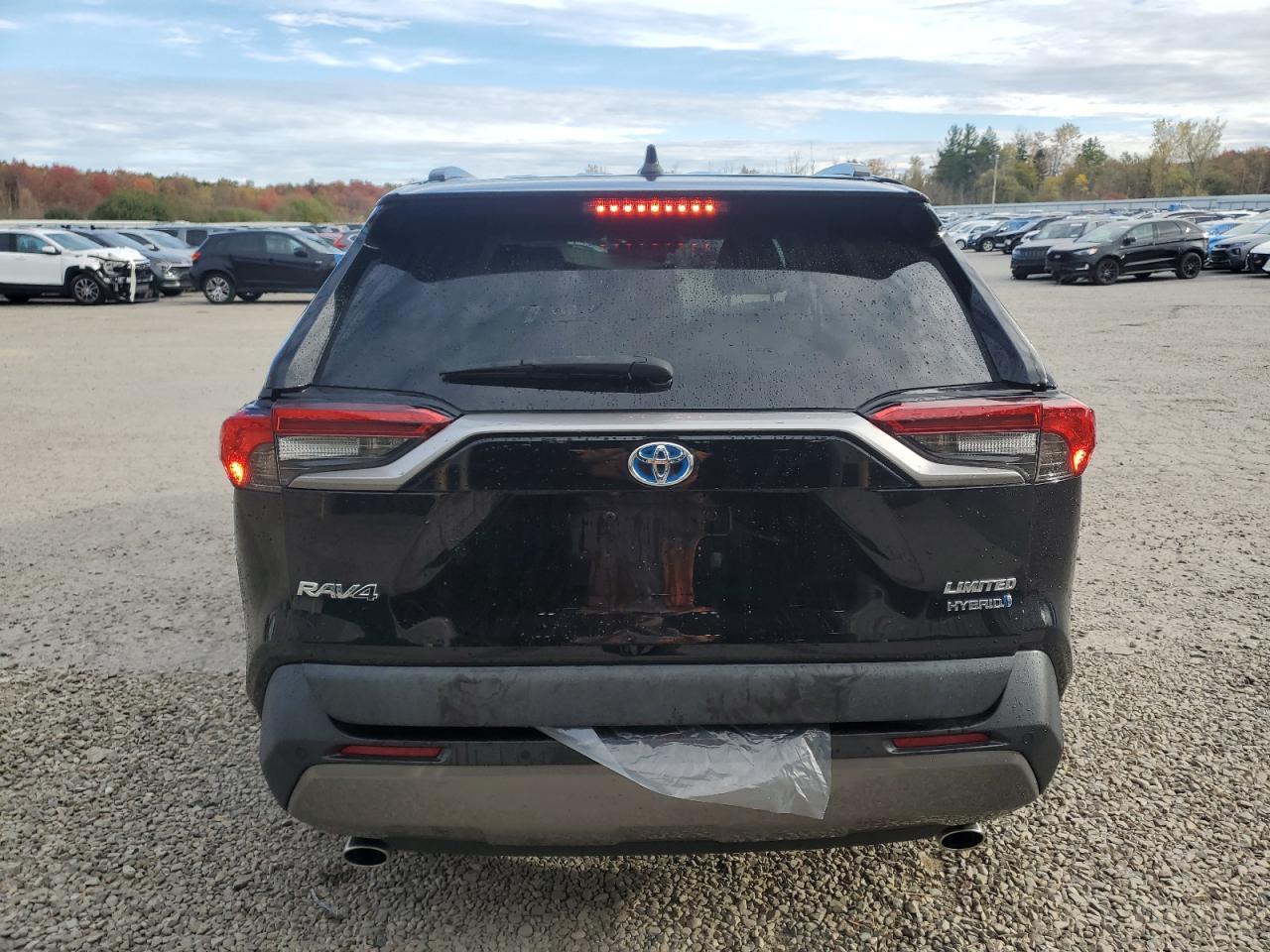 2020 Toyota Rav4 Limited - Фото 6