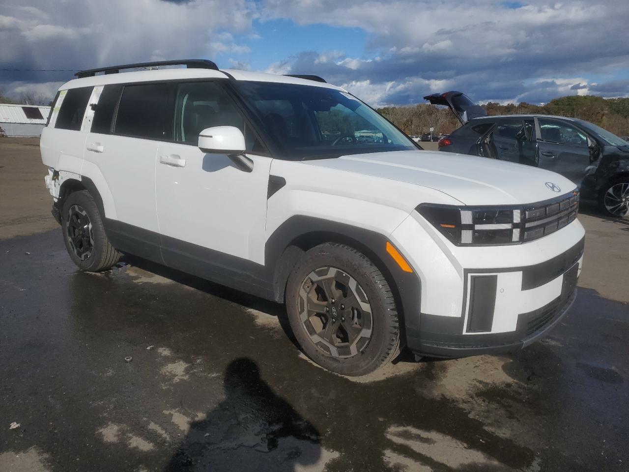 2025 Hyundai Santa Fe Sel - Image 4