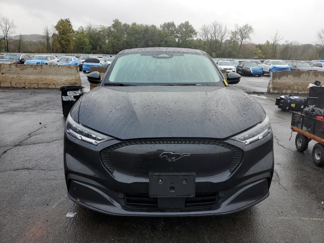 2022 Ford Mustang Mach-E Select - Фото 5