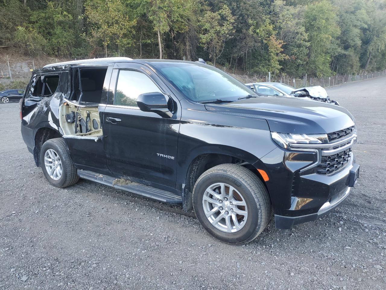 2021 Chevrolet Tahoe K1500 Ls - Фото 4