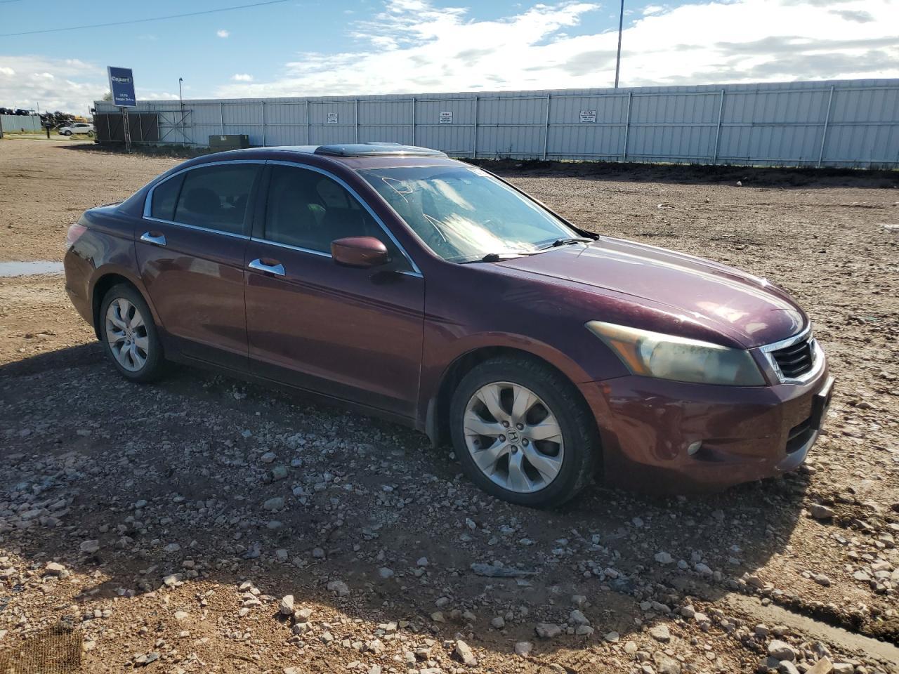 2009 Honda Accord Exl - Image 4