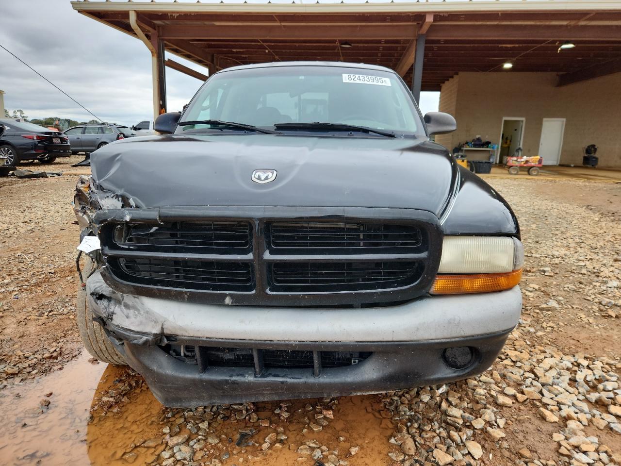 2001 Dodge Dakota Quad - Фото 5