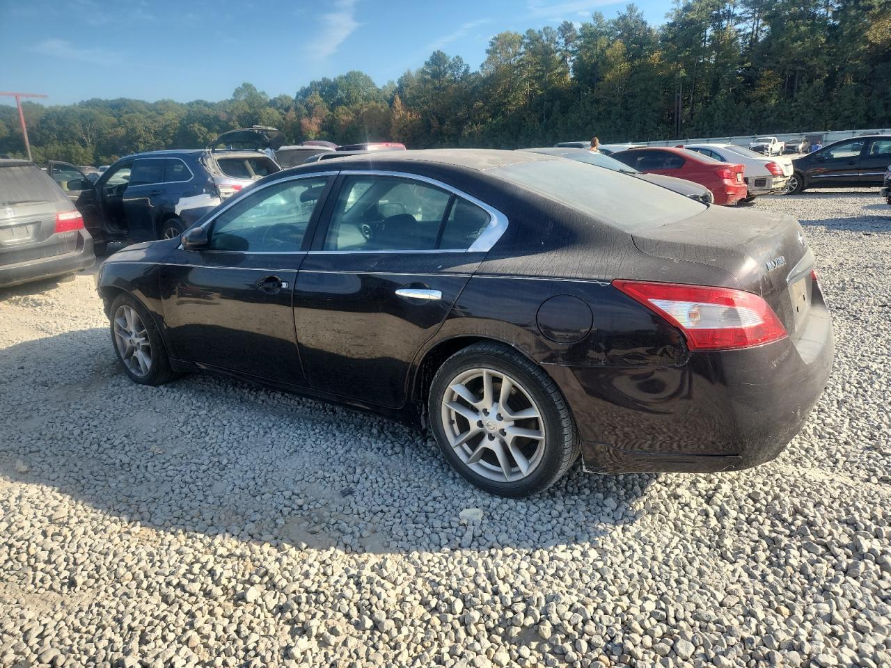 2011 Nissan Maxima S - Фото 2