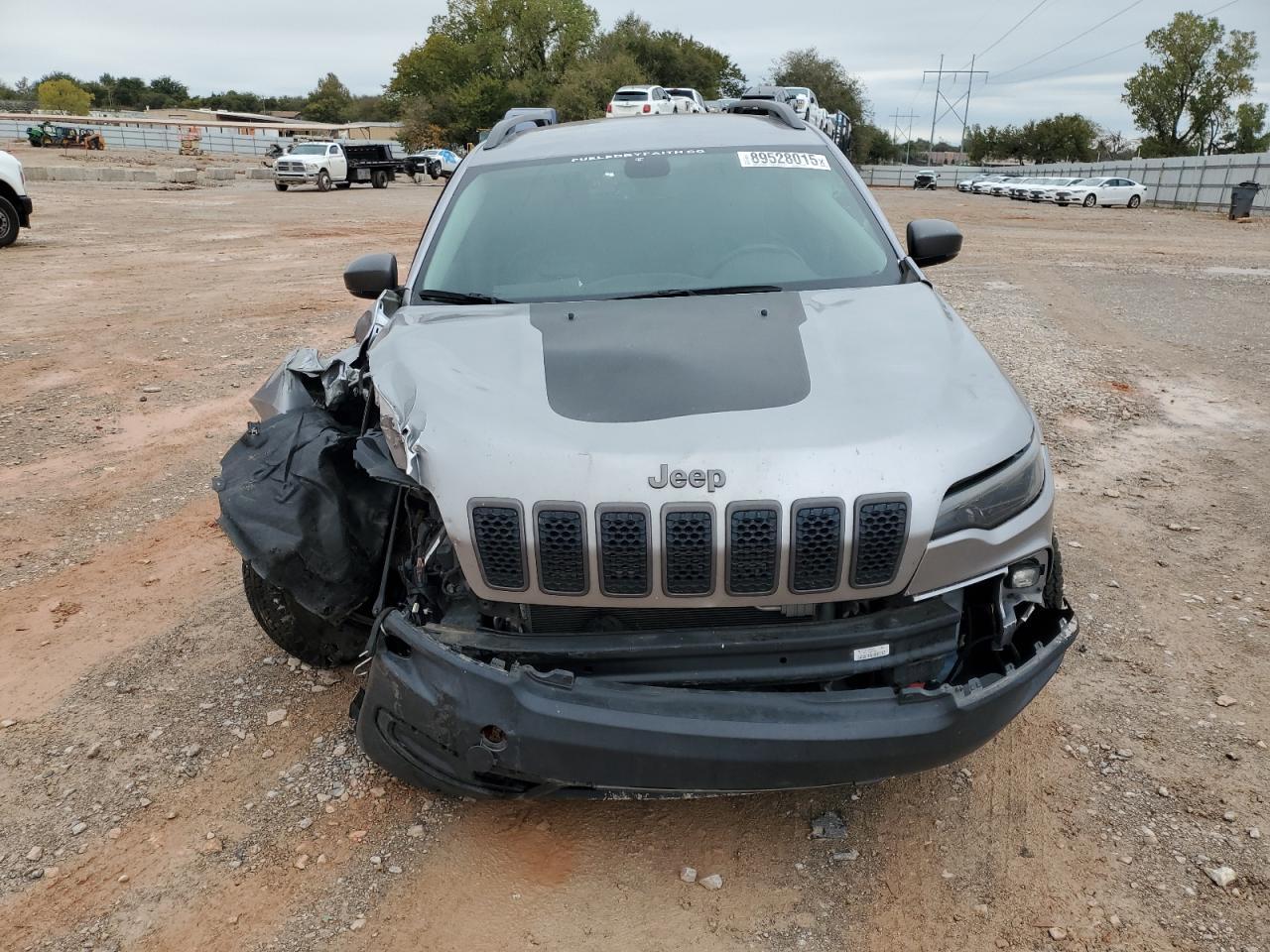 2019 Jeep Cherokee Trailhawk - Фото 5