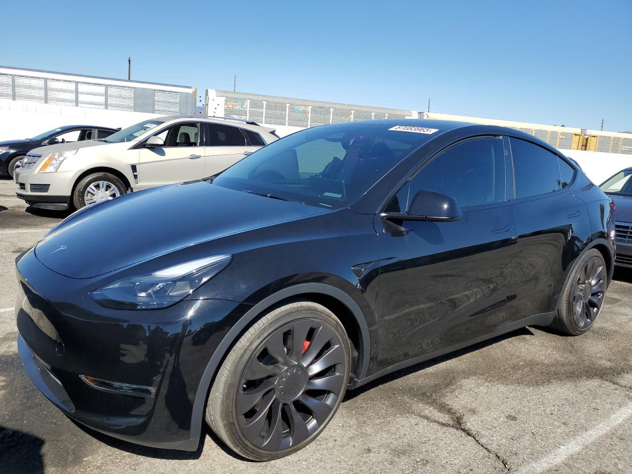 2024 Tesla Model Y