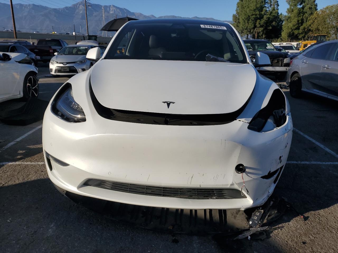 2021 Tesla Model Y - Фото 5