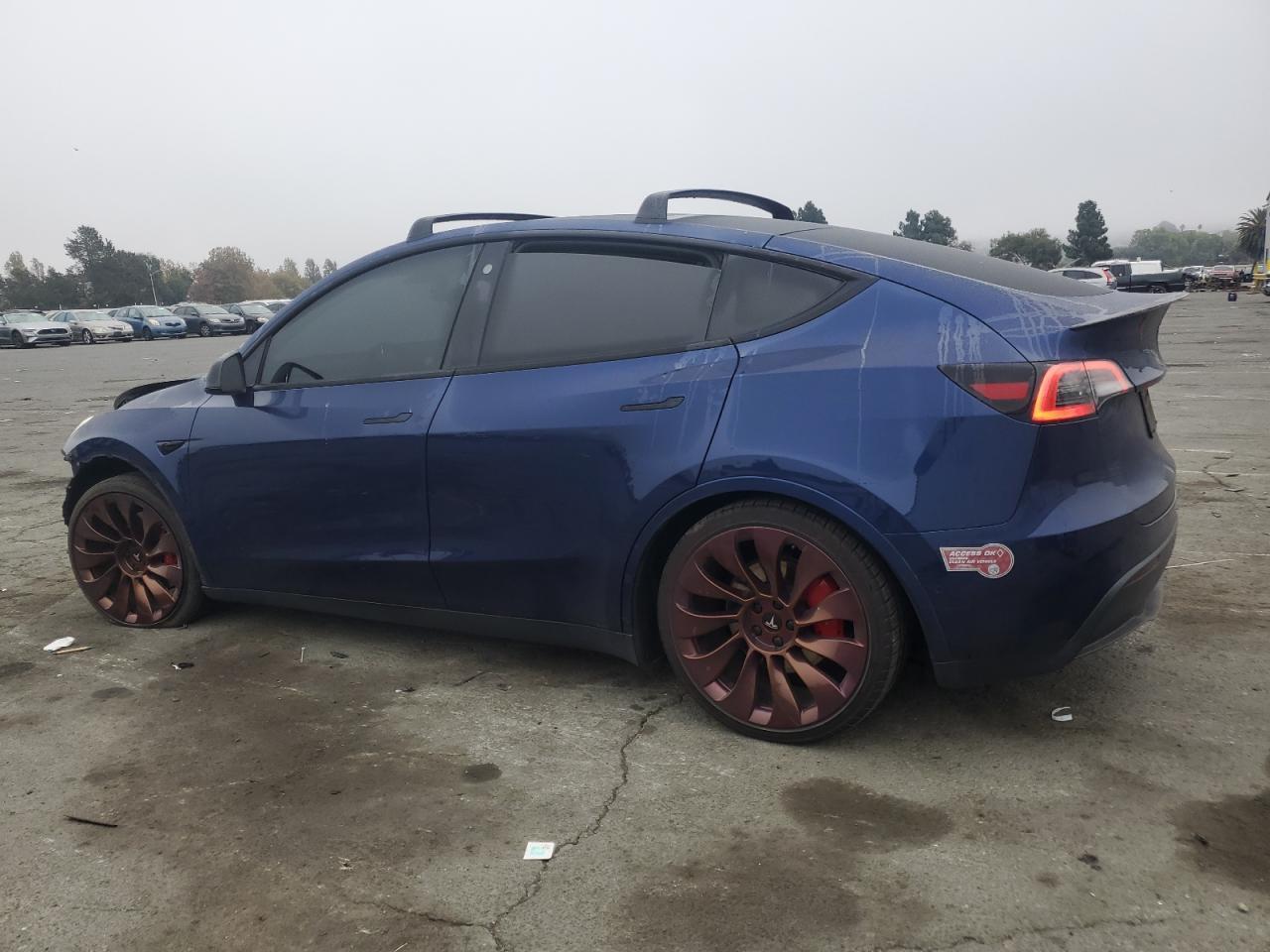 2021 Tesla Model Y - Фото 2