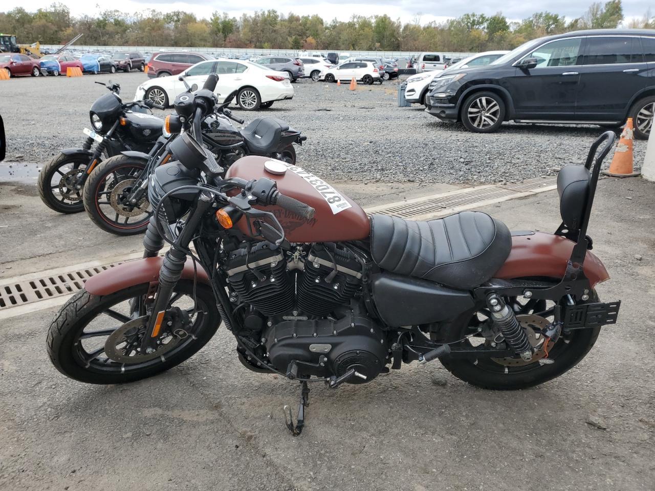 2017 Harley-Davidson Xl883 Iron 883 - Image 3