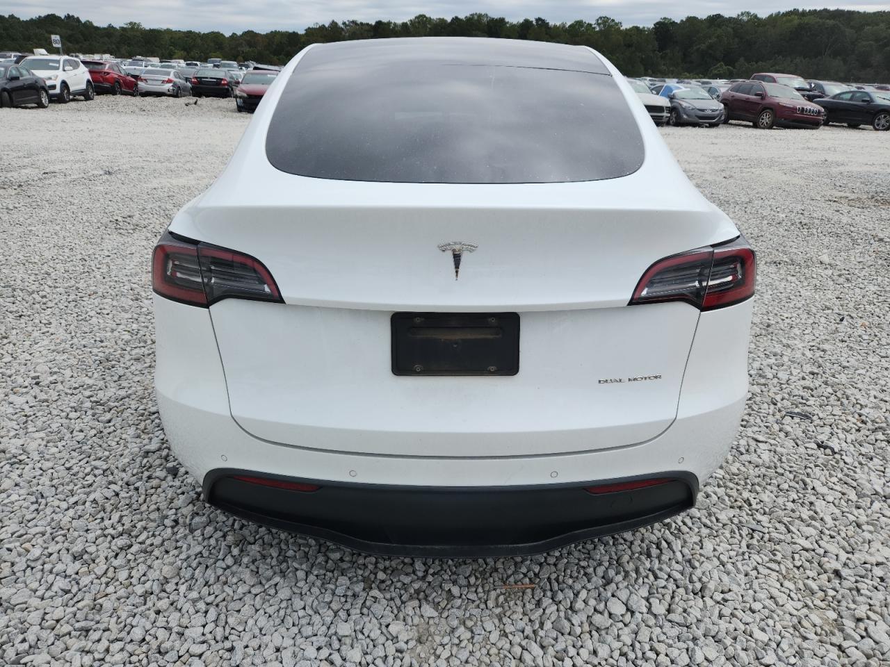 2021 Tesla Model Y - Фото 6