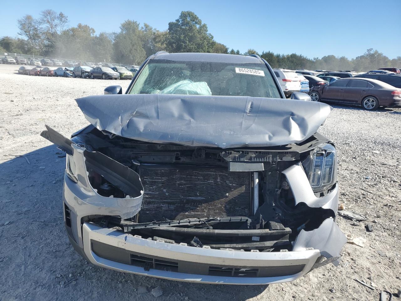 2023 Kia Telluride Ex - Image 5