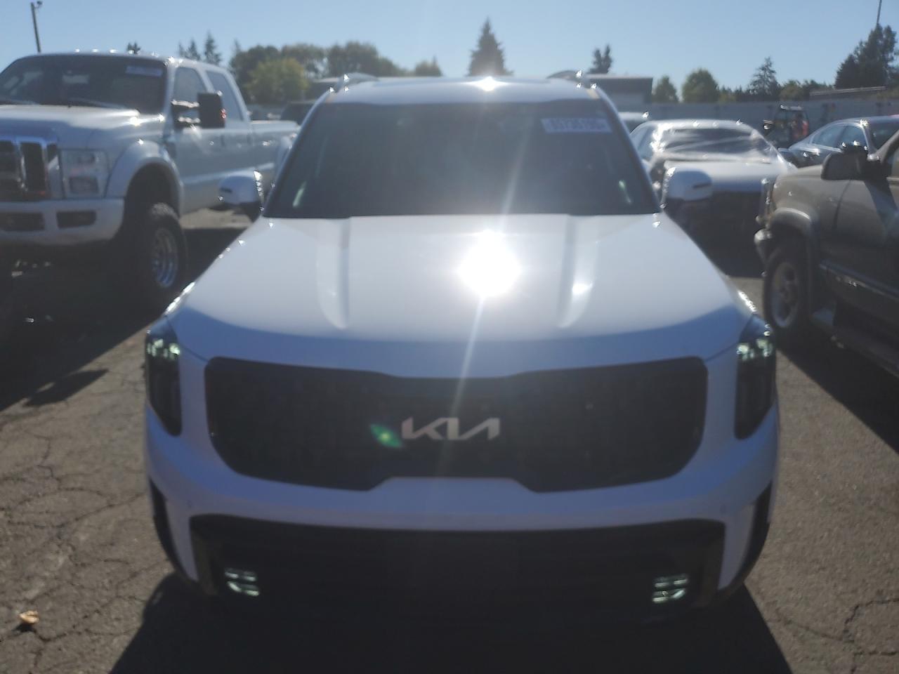 2024 Kia Telluride Sx - Image 5