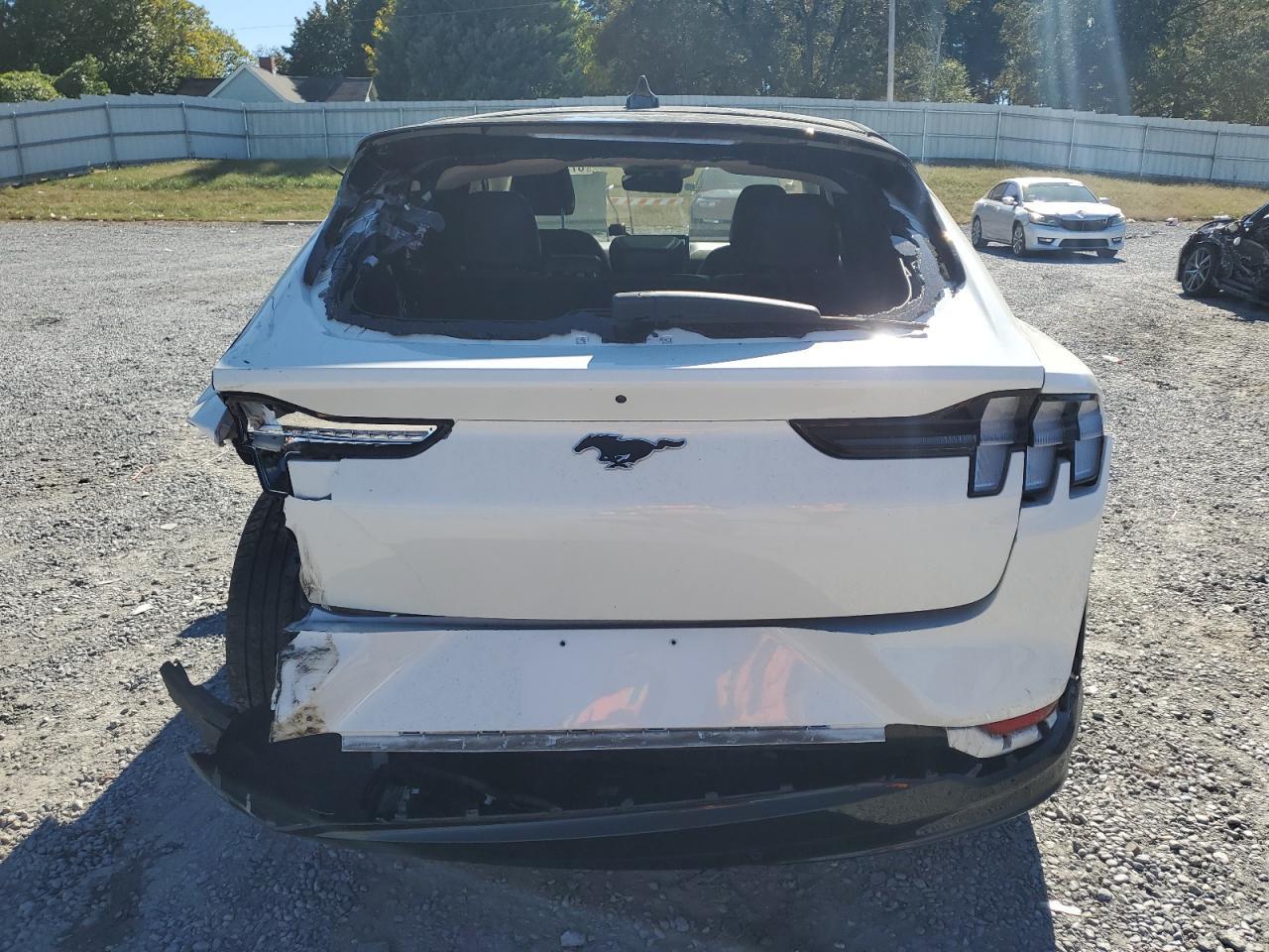 2021 Ford Mustang Mach-E Premium - Фото 6