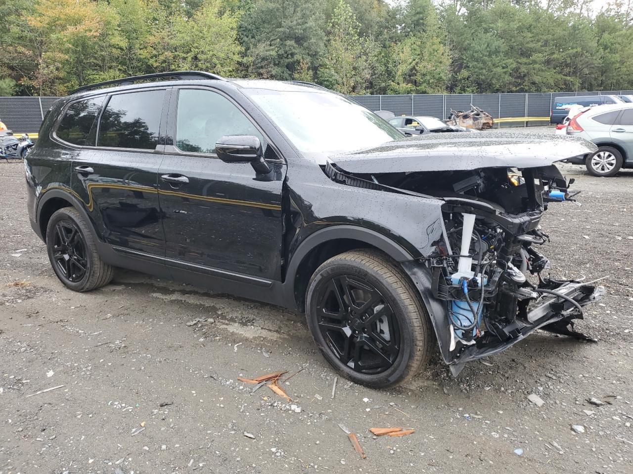2025 Kia Telluride Sx - Image 4