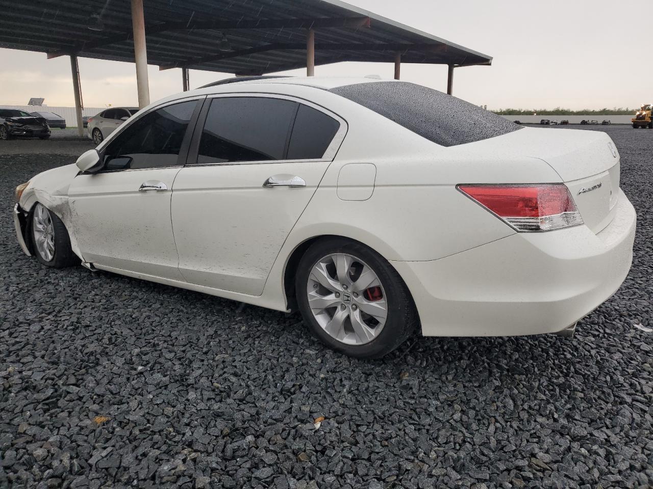 2010 Honda Accord Exl - Image 2