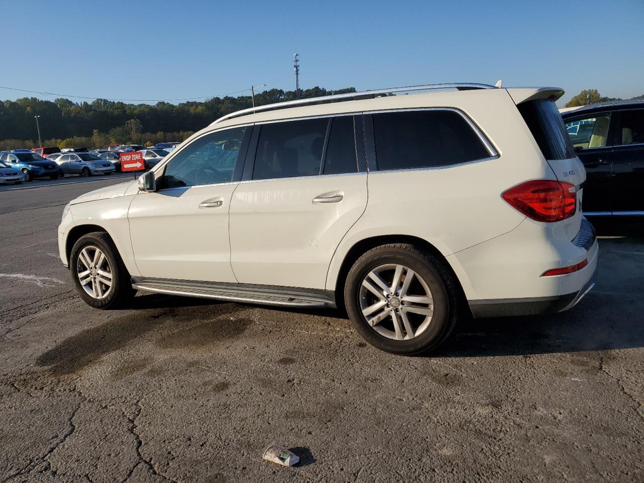 2013 Mercedes-Benz Gl 450 4Matic - Фото 2