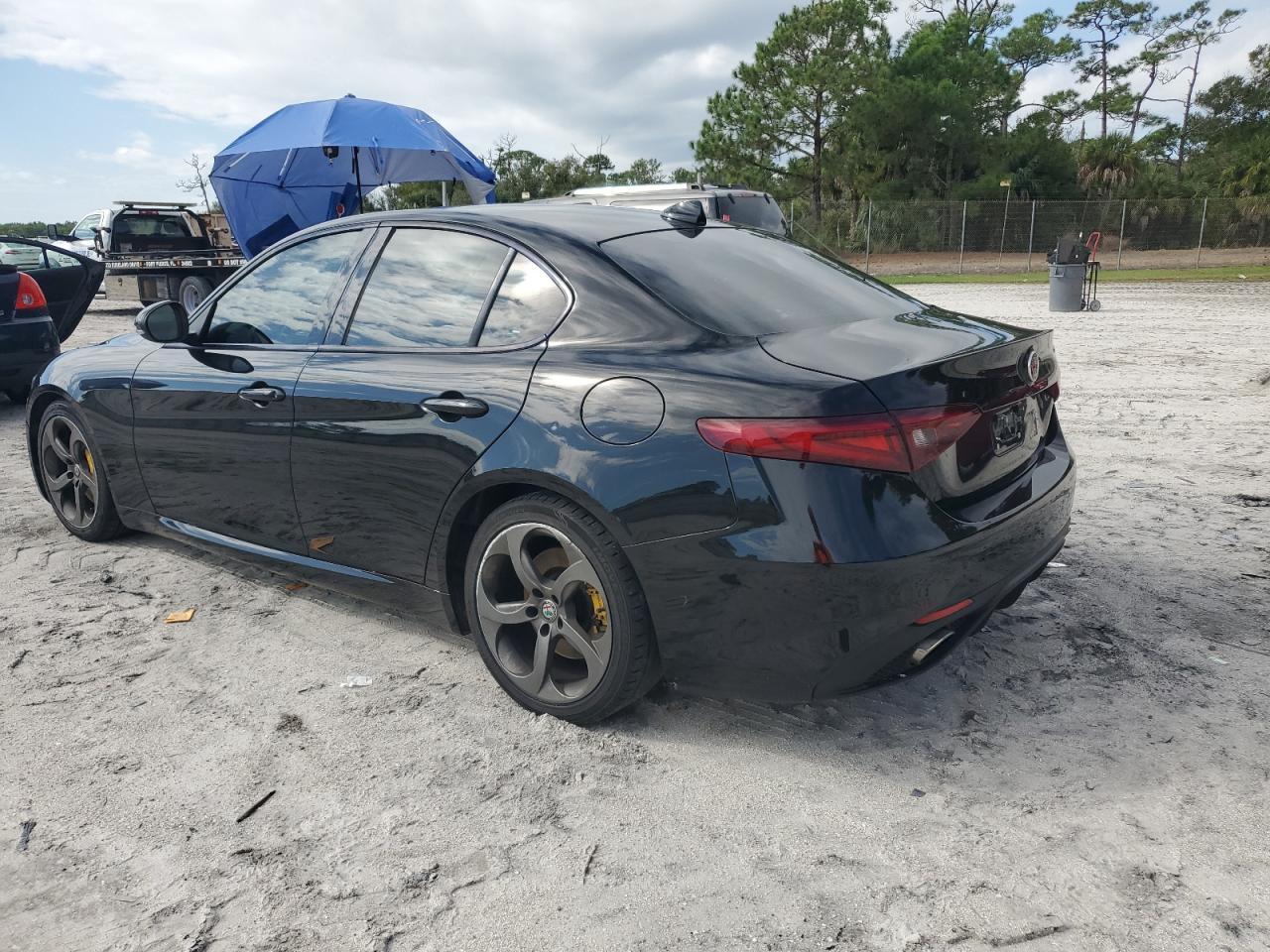 2019 Alfa Romeo Giulia - Фото 2