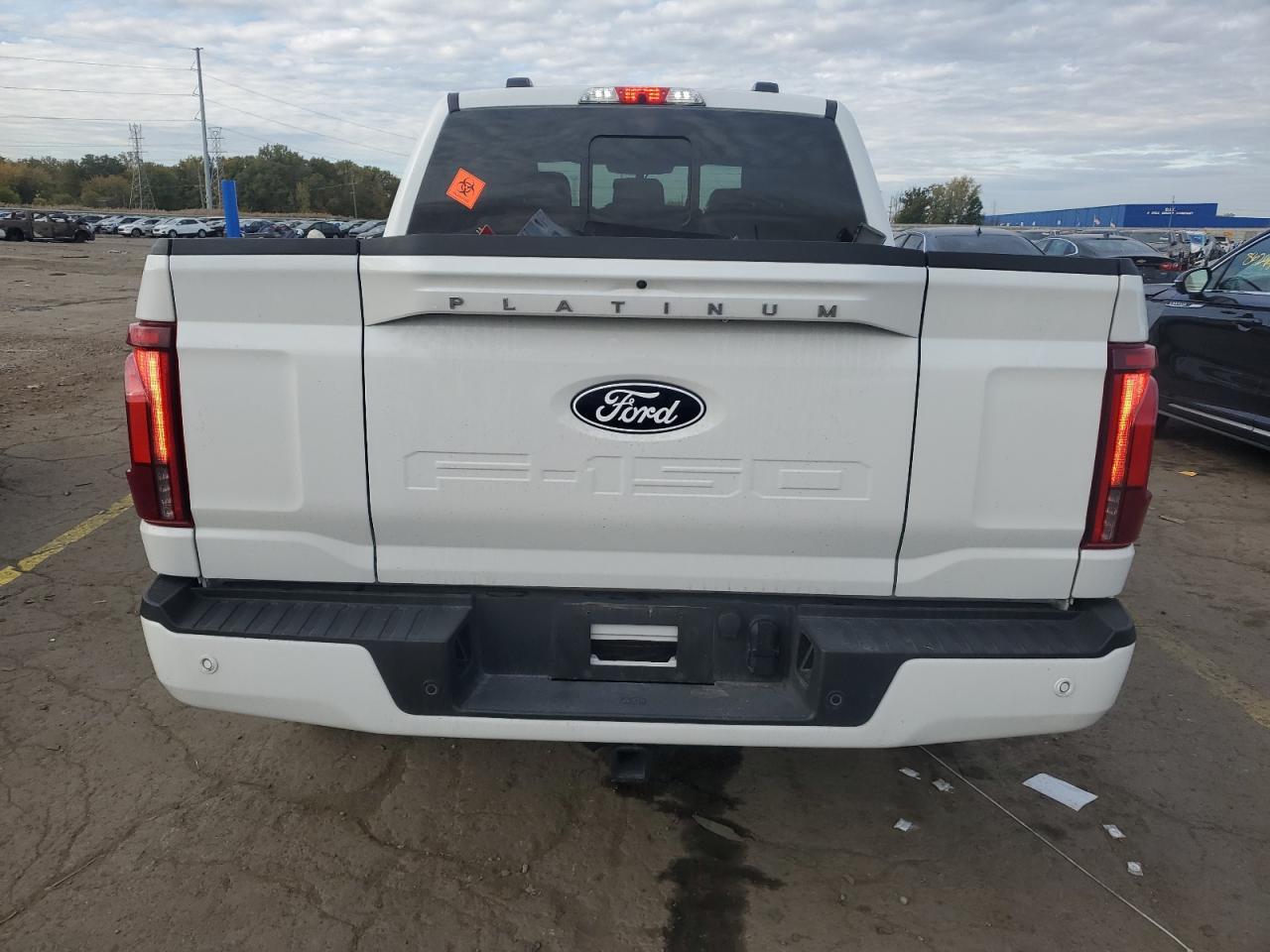 2024 Ford F150 Platinum - Фото 6