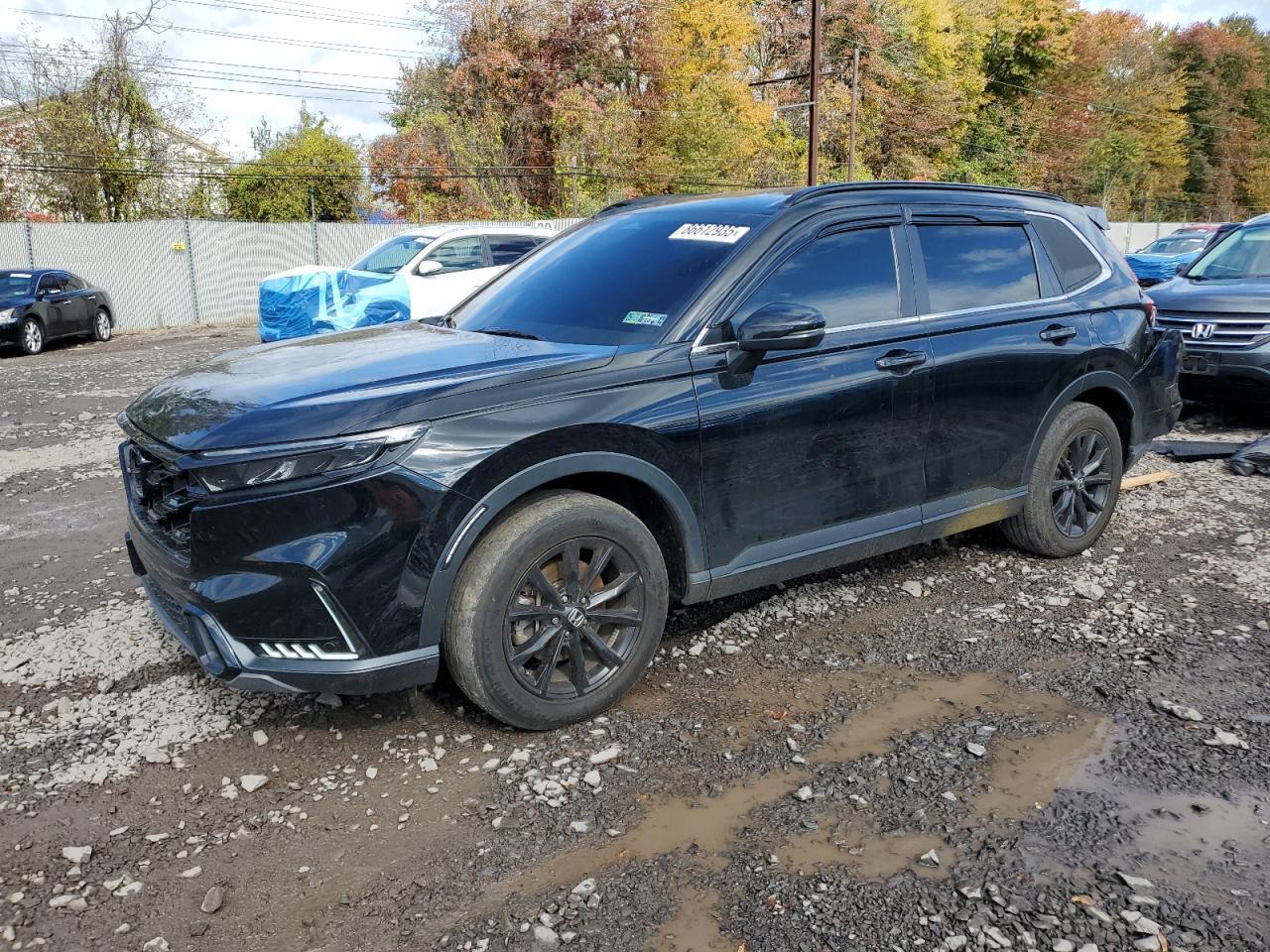 2024 Honda Cr-V Sport